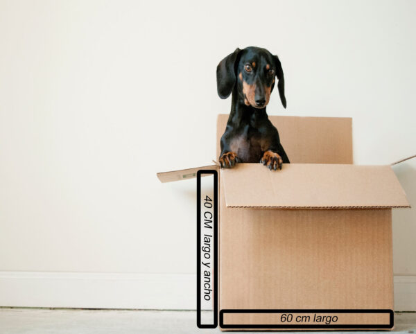 Caja de carton nueva en bogota con perro con medidas